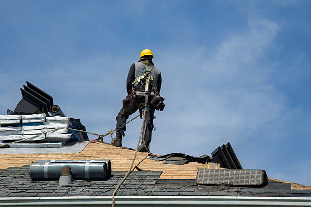 Professional Storm Damage Roof Repair technician working in Coldwater, OH